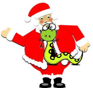 noel
