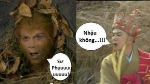 nhậu không