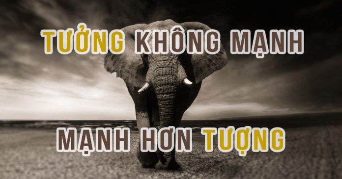 sức mạnh của trí tưởng tượng
