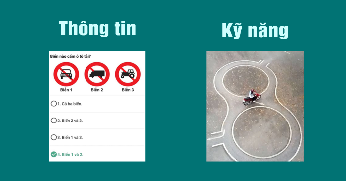 Trí nhớ thông tin và kỹ năng