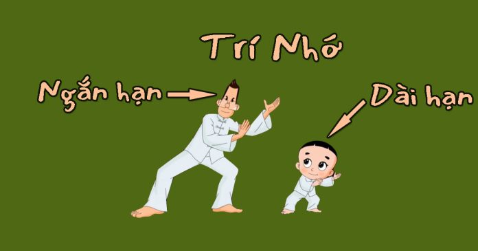 tri-nho-ngan-han-va-dai-han