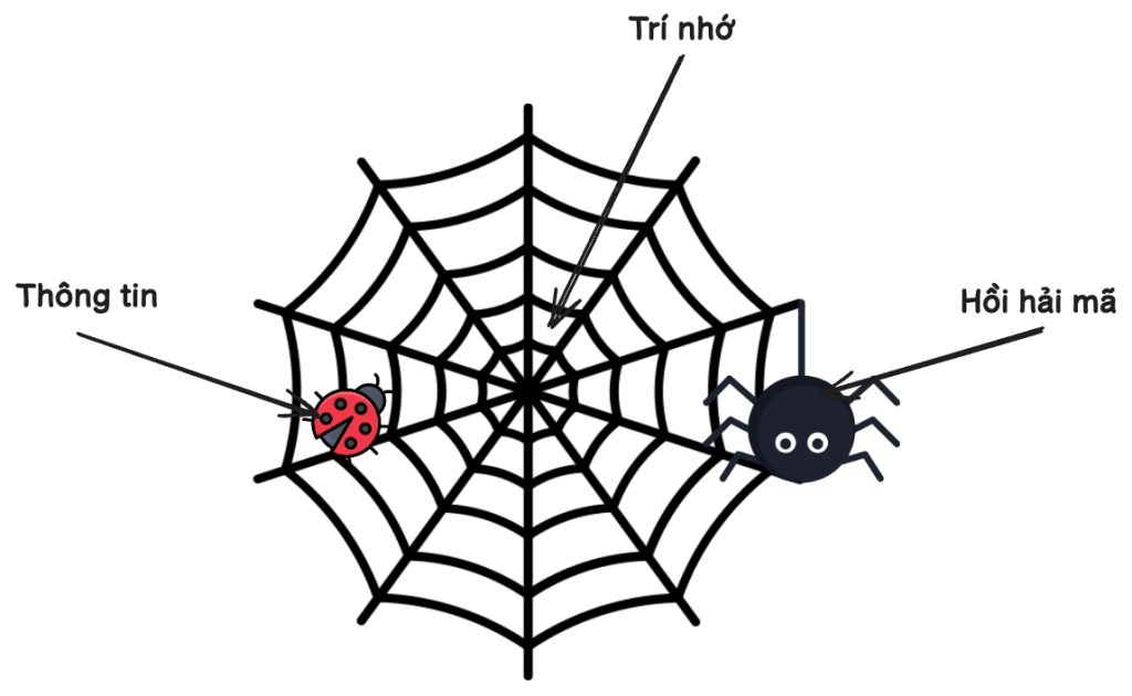 cách trí nhớ hình thành