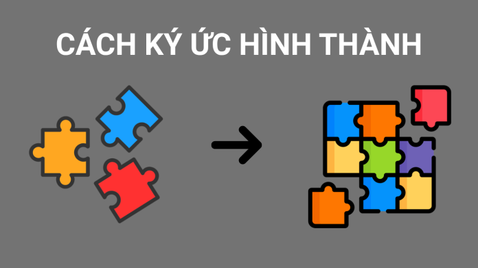 cach-ky-uc-hinh-thanh